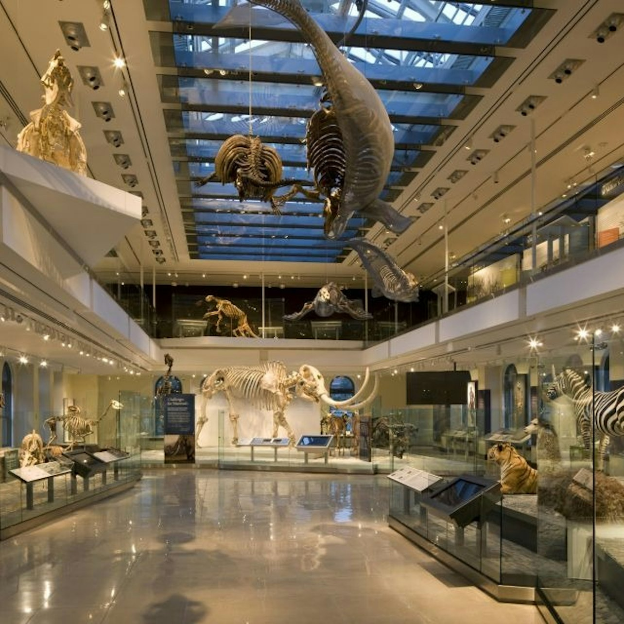 Discover the fascinating world of natural history at the Natural History Museum of Los Angeles County where ancient dinosaurs and stunning gems await your exploration in an extraordinary setting.